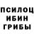 Галлюциногенные грибы мицелий ganesh nishad