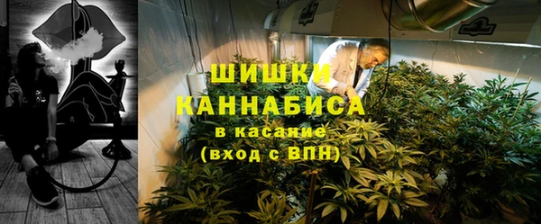 стафф Зеленокумск