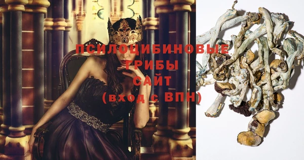 гашик Зерноград