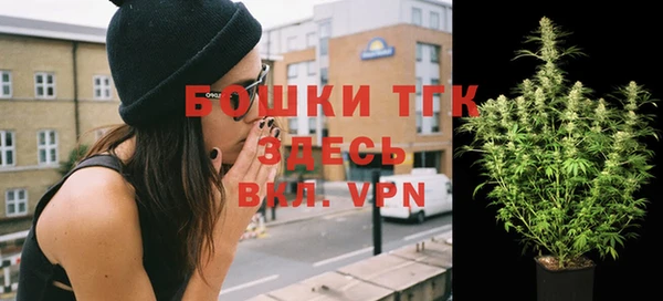 стафф Зеленокумск