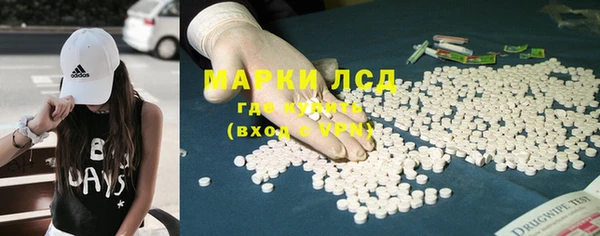 стафф Зеленокумск