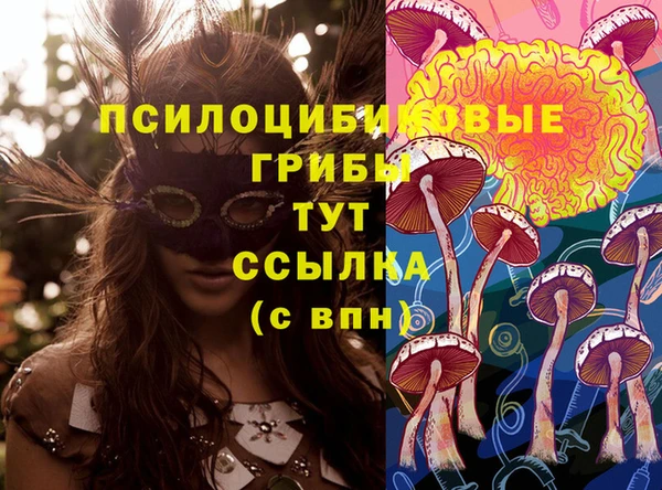 стафф Зеленокумск